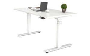 PROFESSIONAL ELECTRIC STANDING DESK AND DESKTOP - 2 MOTOR (AFRDI CERTIFIED) - Free shipping & delivery