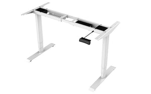 PROFESSIONAL ELECTRIC STANDING DESK AND DESKTOP - 2 MOTOR (AFRDI CERTIFIED) - Free shipping & delivery