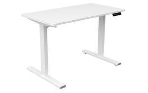 PROFESSIONAL ELECTRIC STANDING DESK AND DESKTOP - 2 MOTOR (AFRDI CERTIFIED) - Free shipping & delivery