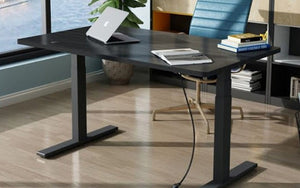 PROFESSIONAL ELECTRIC STANDING DESK AND DESKTOP - 2 MOTOR (AFRDI CERTIFIED) - Free shipping & delivery